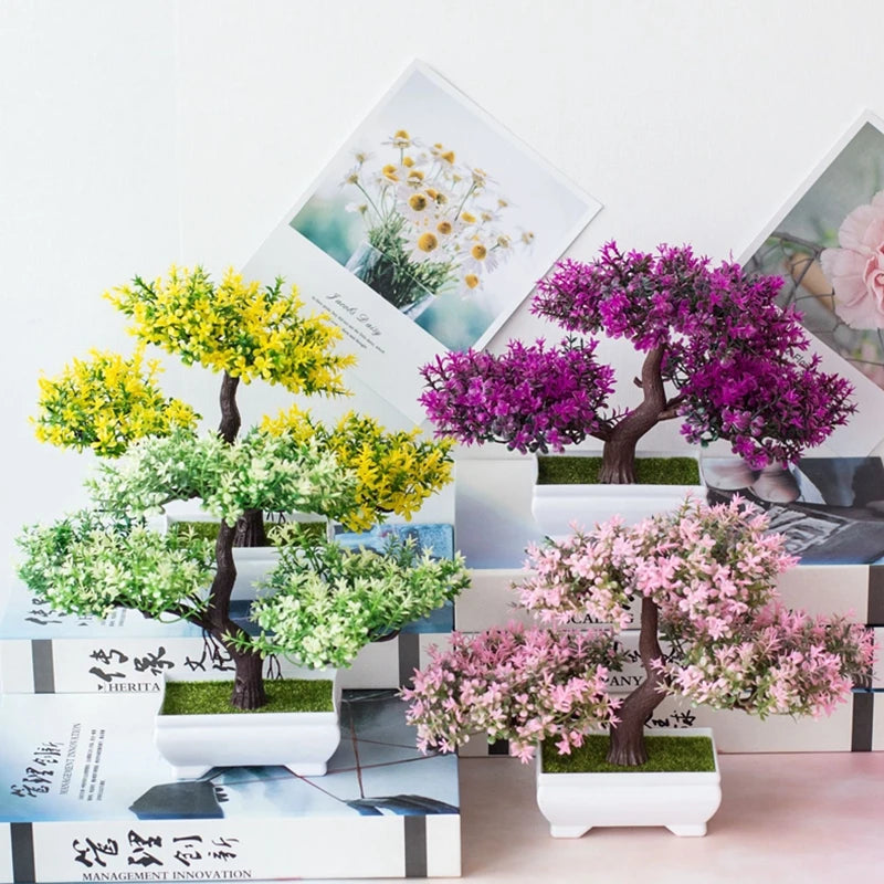Planta Bonsai