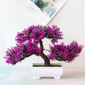Planta Bonsai