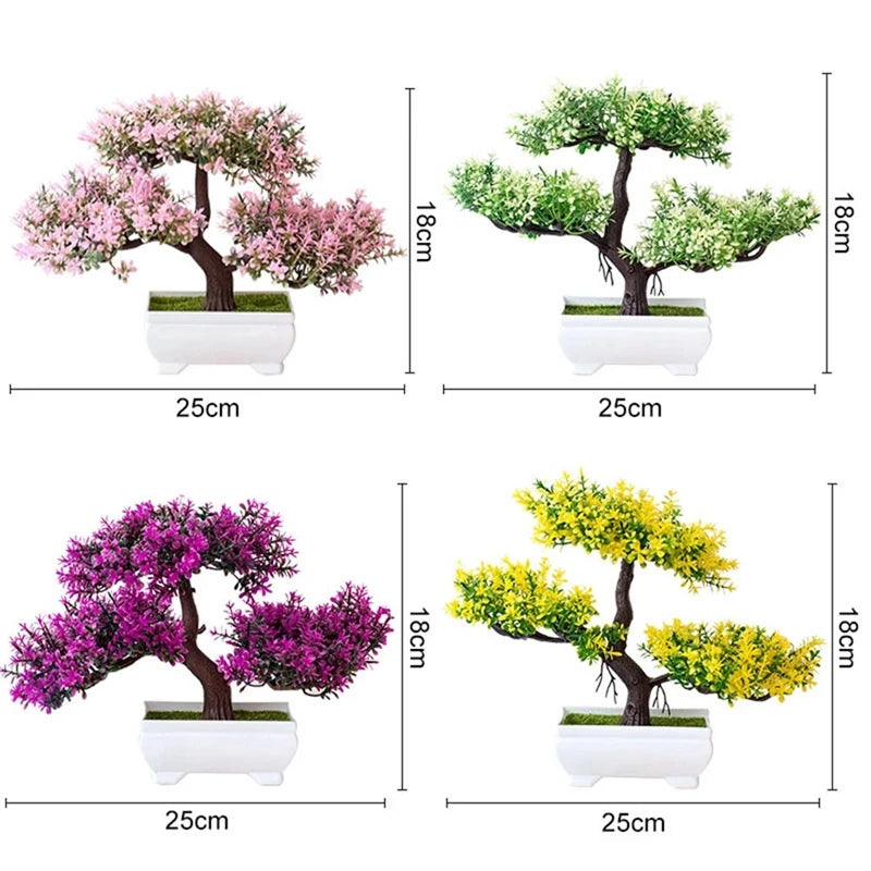Planta Bonsai